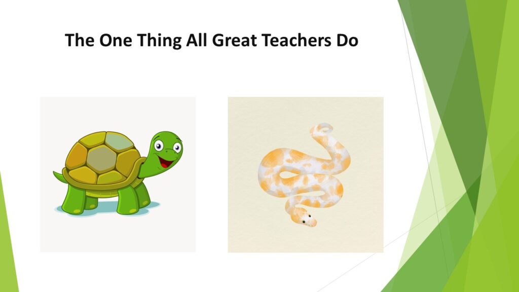 How to get over your fear of public speaking… Hold a snake of course?!